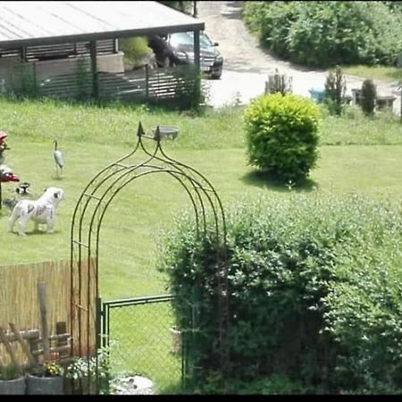 Ferienwohnung - Gruene Oase شتوكاخ المظهر الخارجي الصورة